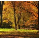 둥개둥개 이미지