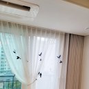성진파크 이미지