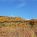 (주)디에스기술 이미지