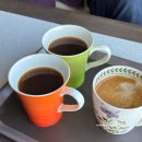 돈앤구이 | 강원도 양양 더앤리조트 미노1 독채 풀빌라 숙박 후기