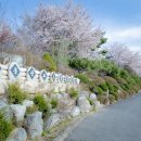 안성비봉산 캠핑장 이미지