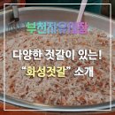 화성젓갈 이미지