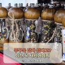 미스터 푸(mr.푸) | 푸꾸옥 선물 추천 리스트 여행 꼭 사 와야 할 쇼핑 아이템 총정리