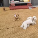 홍스테이션 이미지