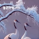 미소와행복 이미지