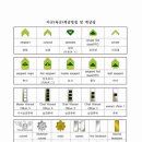 미군(육군) 계급 명칭 및 계급장 그리고 미육군부대 마크 이미지