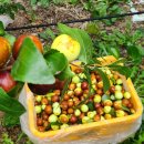 민통선농가집 이미지