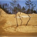 홍천종합약국 이미지