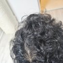 어바운드디자인 | 퀄라이프 어바운드샴푸 10일 사용 후기 탈모관리 고민으로 써본 두피 기록