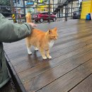 [2025.02] 매일 매일 돌을 굴려