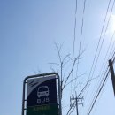 사계절다육농장