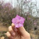 가현산낚시터 이미지