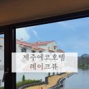 제주 에코랜드호텔 레이크뷰 디럭스룸 솔직후기