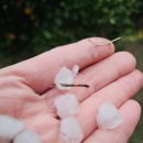 무봉농장 이미지