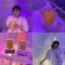 수 아이스 아트 | 2tv 생생정보 출연한 얼음잔에 담긴 음료수를 마실 수 있는 홍대 이색카페 '아이스아트카페' 내돈내산 후기