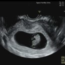 엠제이산부인과의원 이미지