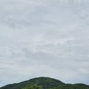 생태공원비 티스토리