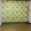 대숲민박 이미지