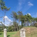 익령군 이치 묘소 이미지