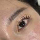 역삼1-124 | 강남 선릉 속눈썹연장 추천 그린룸 유지력 좋은 led마스카라연장후기