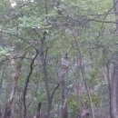 은고개약수터 이미지