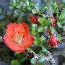 새봄농장(3) 이미지