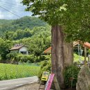 쌍용민박 이미지