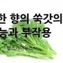 쑥갓 효능 쑥갓 요리 부작용 알아보기 ~~ 이미지