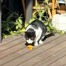 호구포근린공원 공원화장실 이미지