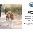 인덕원동물의료센터 이미지