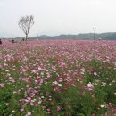 배다리 박물관 이미지