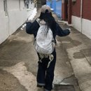 technical daypack 이미지