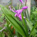 향도 행정사 사무소 이미지