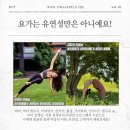 오운요가x필라테스