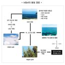 [삼채사랑] MSM의 기적 4 ....MSM - 부작용이 없는 치유 이미지