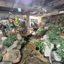 돈까스익스프레스 이미지