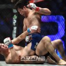 최강웅비태권도 이미지