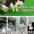 나비야 - 광진구 자양로2길 6 | 나비야
