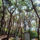 진해 산책명소 장복산 조각공원 무장애나눔길