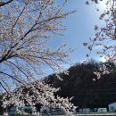 위니아서비스원주 이미지