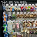 야옹아 멍멍해봐(목천점) 이미지