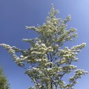 이도2동 벤처마루 앞 이미지