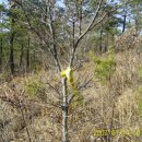 사방초등학교 이미지