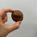 케이오피피아이 | 과천 버터떡 "케이오피피아이(KOPPI)" 내돈내산 솔직후기