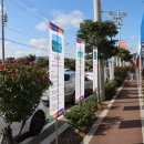 소가야가는길 이미지