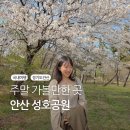 성호공원_성호기념관주변 | 안산 가볼만한곳 '성호공원' 주말 갈만한곳 (주차 무료)