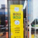 웅이네애견샵