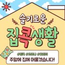 우리음악학원 이미지
