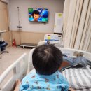 서울석병원 | 아기 발가락 봉합수술 후 실밥제거, 전신마취 후기 (서울석병원)
