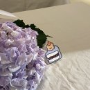 진흥상회 이미지